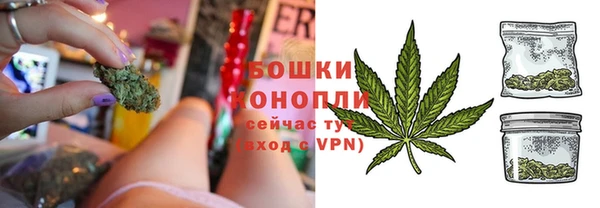 ПСИЛОЦИБИНОВЫЕ ГРИБЫ Медногорск