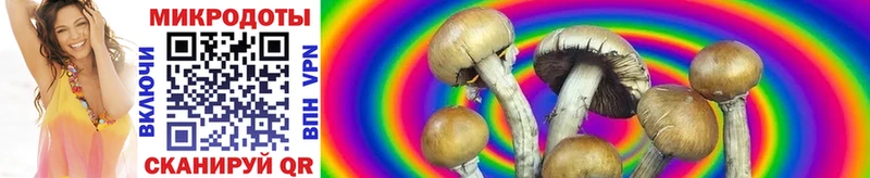 Псилоцибиновые грибы MAGIC MUSHROOMS  как найти закладки  мега ТОР  Почеп 